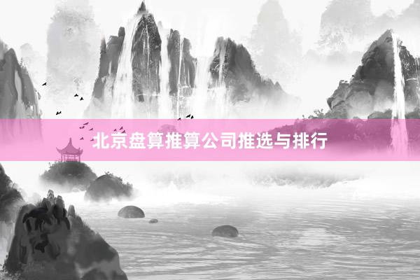 北京盘算推算公司推选与排行